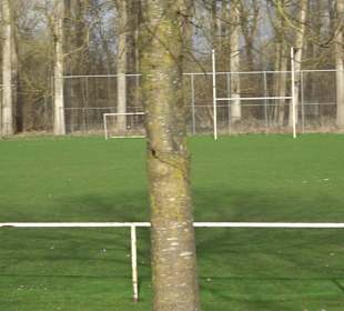 Erwin-Waldner-Stadion Neckarhausen