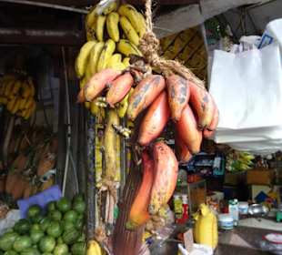 Hochland von Sri Lanka