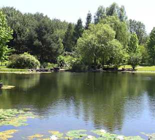 Chinesischer Garten