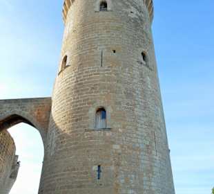 Castell Belvedere