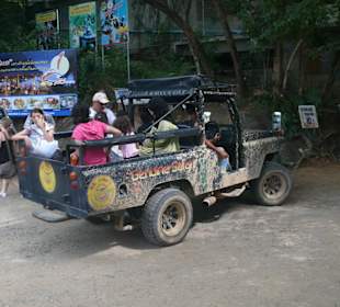 Das Dschungelauto 