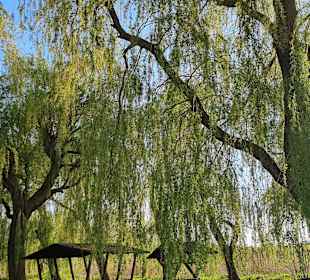 Wasserwanderrastplatz Sophienhof 