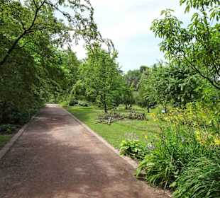 Impressionen aus dem Botanischen Garten Düsseldorf
