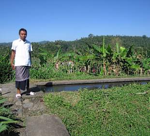 Wayan auf dem Reisfeld