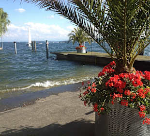 Bodensee, Mantelhafen