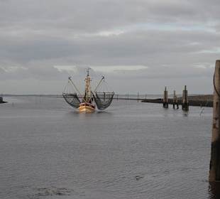 Blick Richtung Lageoog