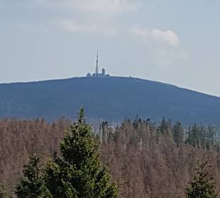 Nationalpark Besucherzentrum TorfHaus