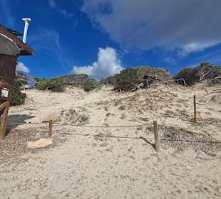 Platja de Ses Salines in Sant Josep de Sa Talaia