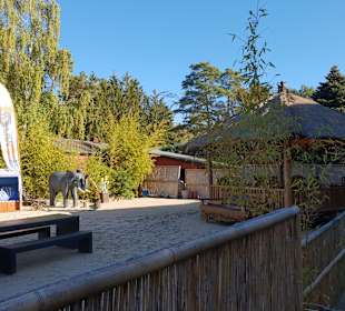 Naturpark Steinhuder Meer