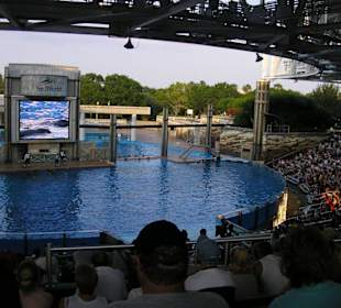 Sea World - Shamu Stadium
