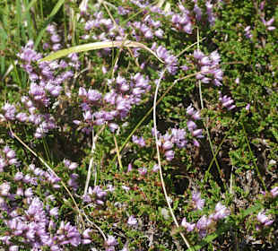 Wanderung am Fellhorn