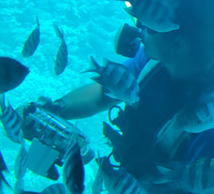 Schnorcheln Hurghada