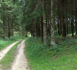 Premiumwanderweg "hochgehackert"