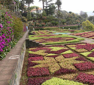 Landausflug nach Madeira