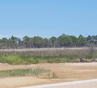 Am Strand, das gehört schon zum Gebiet