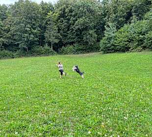 Wandern Stubenberg am See