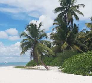 Isla Saona