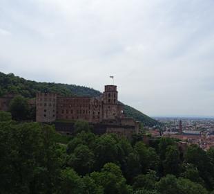 Schloss Heidelberg Ein-und Ausblicke