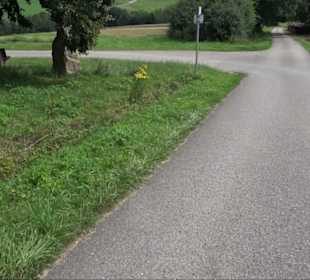 Sonnenaufgangs-Rundwanderung Rübgarten