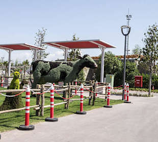 Haustiere aus Pflanzen