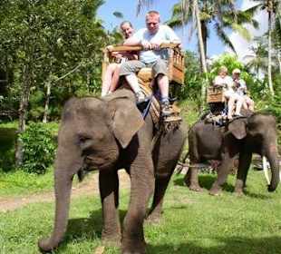 Elefantenreiten