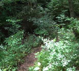 Premiumwanderweg "hochgehackert"