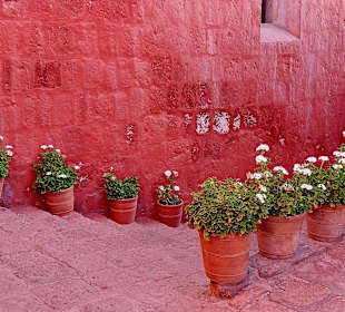 Santa Catalina Kloster