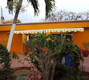 Stadtrundgang Varadero