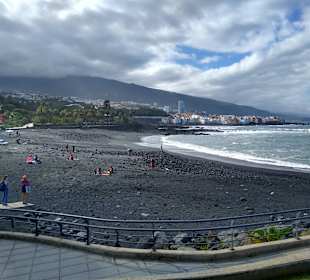 Playa Jardín