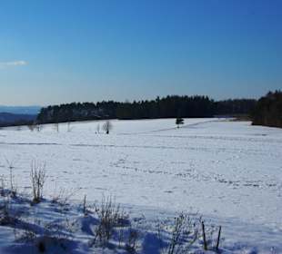 Die Aus- und Ansicht