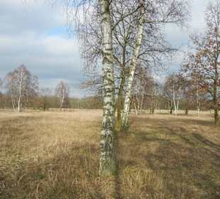 Naturschutzgebiet Boberger Niederung