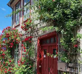 Haus