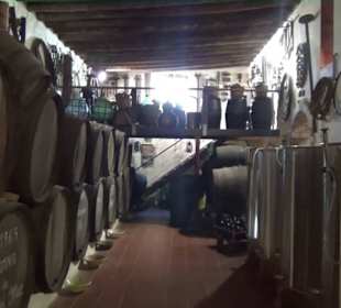 Museo Etnográfico Tanit