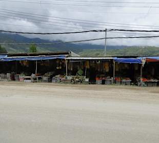 Ausflug Wildfife Expeditions