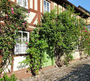 Eindrücke vom Rundgang durch Königsberg