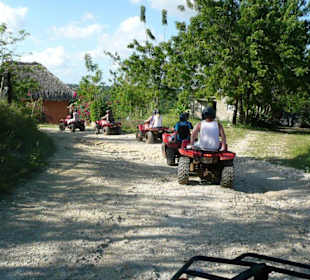 Ausflug Crazy Wheels