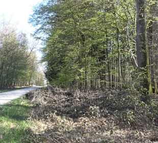 Rotwilderlebnispfad
