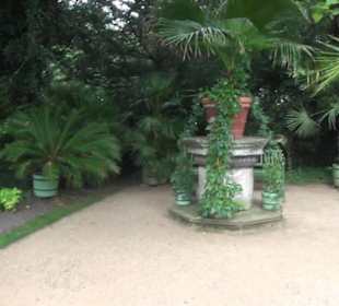 Ehemaliges Palmenhaus