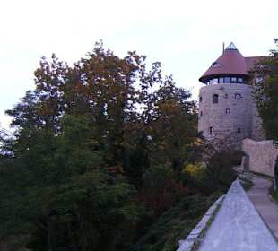 Blick auf Schloß Ortenburg vom Mühltor aus