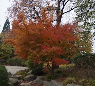 Parkanlage Planten un Blomen