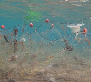 Qualvolles Sterben im Naturschutzgebiet