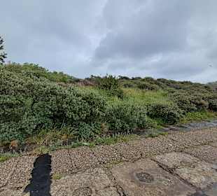 Strand Hoek van Holland in Hoek van Holland