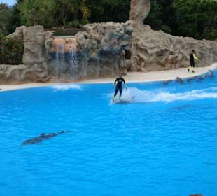 Shows und Unterhaltung