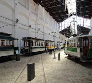 Blick in die Museumsräume