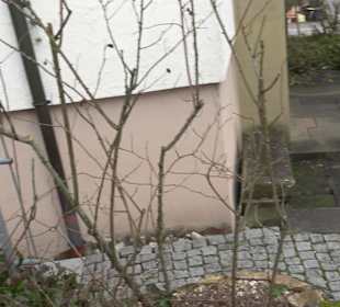 Evangelisches Gemeindehaus Neckarhausen