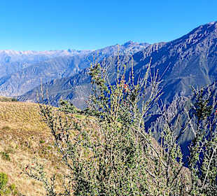 Colca-Canyon