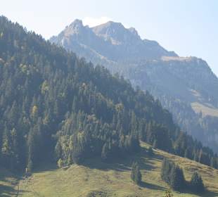 Schönenbacher Tal - Blick zu den Gipfeln