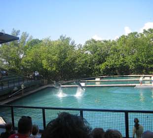Miami Seaquarium