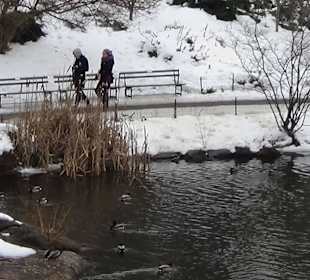 Ławeczki i mały staw