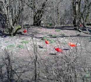 Tierpark Hellabrunn in München